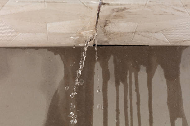 Professional Flood Damage Cleanup technician working in Palatine, IL